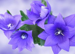 Graficzne niebieskie kwiaty