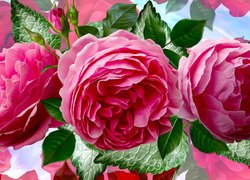 Graficzne trzy różowe róże