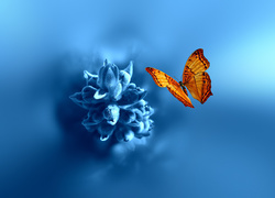 Niebieski, Kwiat, Motyl