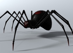 Graficzny pająk w 3D