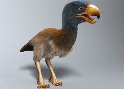 Graficzny ptak w 3D