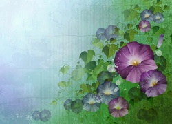 Grafika 2D z kwiatami powoju