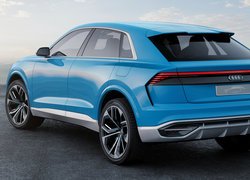 Grafika Audi Q8