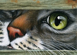 Grafika paintography z kotem w szczelinie