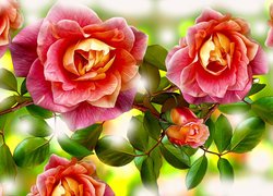 Kwiaty, Róże, Liście, Grafika 2D