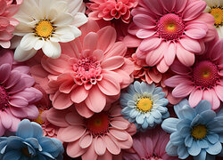 Grafika różnych kolorowych kwiatów