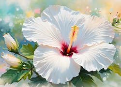 Hibiskus, Biały, Kwiat, Grafika