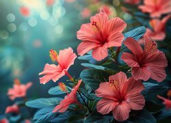 Kolorowe, Kwiaty, Hibiskusy, Tło, Grafika
