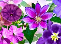 Grafika z fioletowymi kwiatami