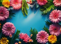 Gerbera, Kwiaty, Kompozycja, Grafika