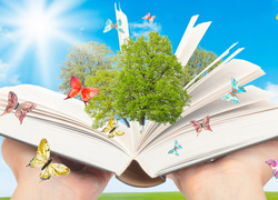 Grafika z książką w dłoniach, drzewami i motylkami