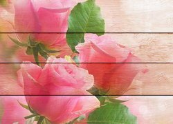 Grafika z różami na deskach