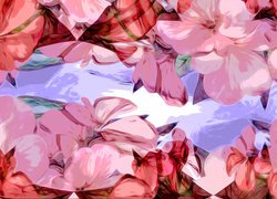 Grafika z różowymi kwiatami