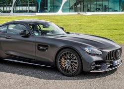 Mercedes-AMG GT C, Bok