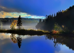 Jezioro, Grobla, Drzewa, Odbicie, Mgła, Jesień