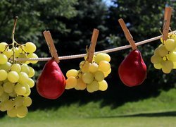 Gruszki i winogrona wiszące na sznurku