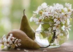 Gruszki położone obok wazonika z kwitnącą gałązką gruszy
