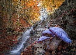 Jesień, Drzewa, Las, Skały, Wodospad, Kaskada, Grzyby, Fotomontaż