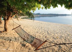 Hamak pod drzewami na filipińskiej plaży