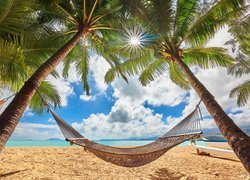 Hamak pod palmami na hawajskiej plaży