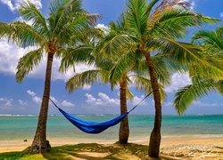 Hamak wśród palm na plaży Kahala Beach