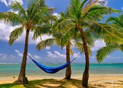 Stany Zjednoczone, Hawaje, Plaża, Kahala Beach, Palmy, Hamak