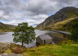 Wielka Brytania, Walia, Park Narodowy Snowdonia, Góry, Jezioro Llyn Ogwen, Drzewa, Droga