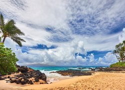 Hawaje, Morze, Plaża, Palmy, Roślinność, Chmury