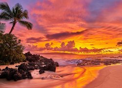 Hawaje, Wyspa Maui, Ocean, Palmy, Zachód słońca, Chmury