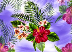 Grafika, Kwiaty, Plumeria, Hibiskus, Listki