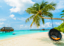 Huśtawka na palmie i dom na palach w morzu na Malediwach