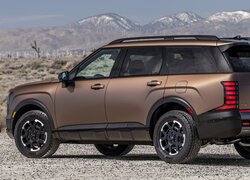 Hyundai Palisade XRT Pro