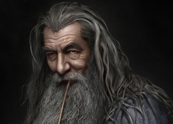 Ian McKellen, Czarodziej, Gandalf Szary, Twarz, Portret, Hobbit