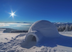 Igloo w pobliżu lasu w promieniach zimowego słońca