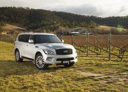 Infiniti QX80 2015