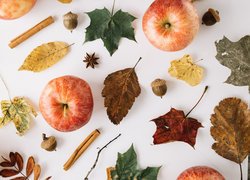 Jesień, Liście, Jabłka, Owoce, Żołędzie