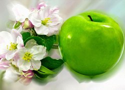 Jabłko i kwiaty jabłoni w grafice