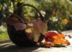 Jabłko obok koszyka z jesiennymi liśćmi