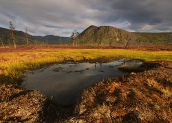 Jesień, Góry Kołymskie, Drzewa, Trawa, Jezioro, Jack London Lake, Kołyma, Magadan, Rosja