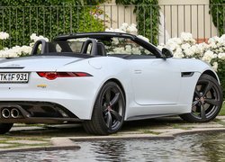 Jaguar F-Type 400, Cabrio