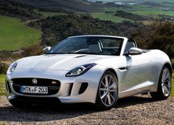 Jaguar F-Type Cabrio