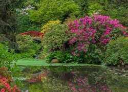 Japoński ogród Kubota Garden w Seattle