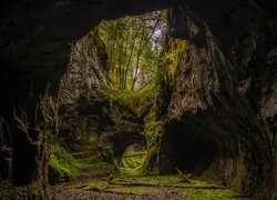 Jaskinia i omszałe skały