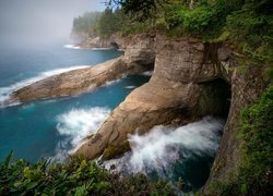 Jaskinie, Przylądek Cape Flattery, Park Narodowy Olympic, Stan Waszyngton, Stany Zjednoczone, Morze, Wybrzeże, Skały, Rośliny