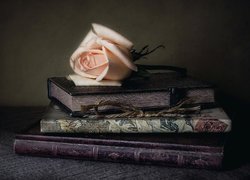 Jasnoróżowa róża na książkach