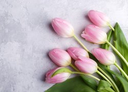 Jasnoróżowe tulipany