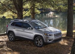 Jeep Cherokee pod drzewem