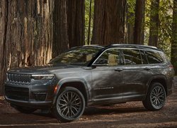 Jeep Grand Cherokee L, 2021