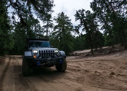 Jeep Wrangler na piaszczystej drodze