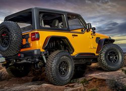 Jeep Wrangler Orange Peelz